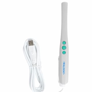 Intra Oral Camera USB Type - Waldent