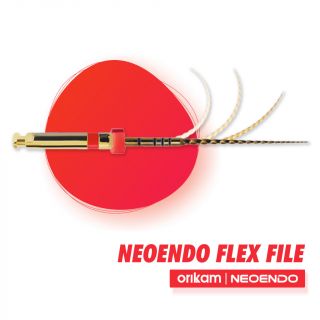 NeoEndo Flex Files 6Pc - Orikam