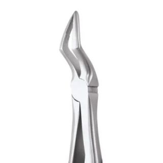 Extraction Forceps DF Adult #51A - GDC